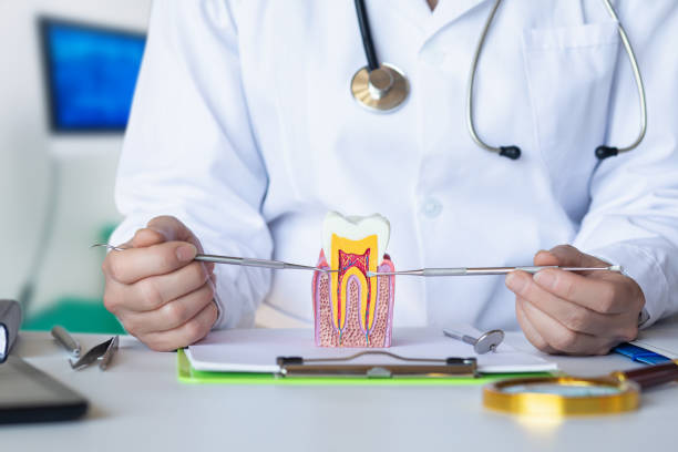 Best Emergency Tooth Extraction in Vandalia, OH